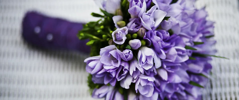 CategoryImg4